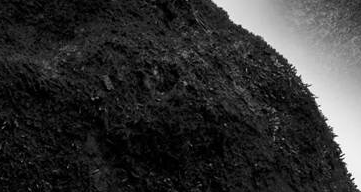 Miquel Merce a la Galeria d\'Art Pilar Riberaygua