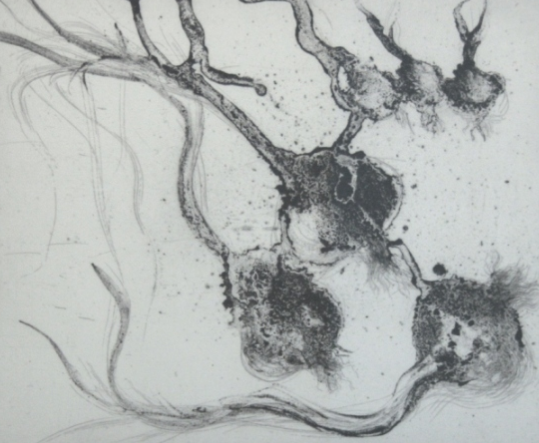 La galeria Atelier enceta la temporada amb la mostra \