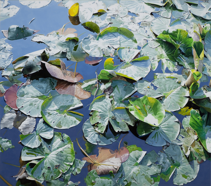 Johannes Schramm mostra els seus bodegons aquàtics al Centre Cultural