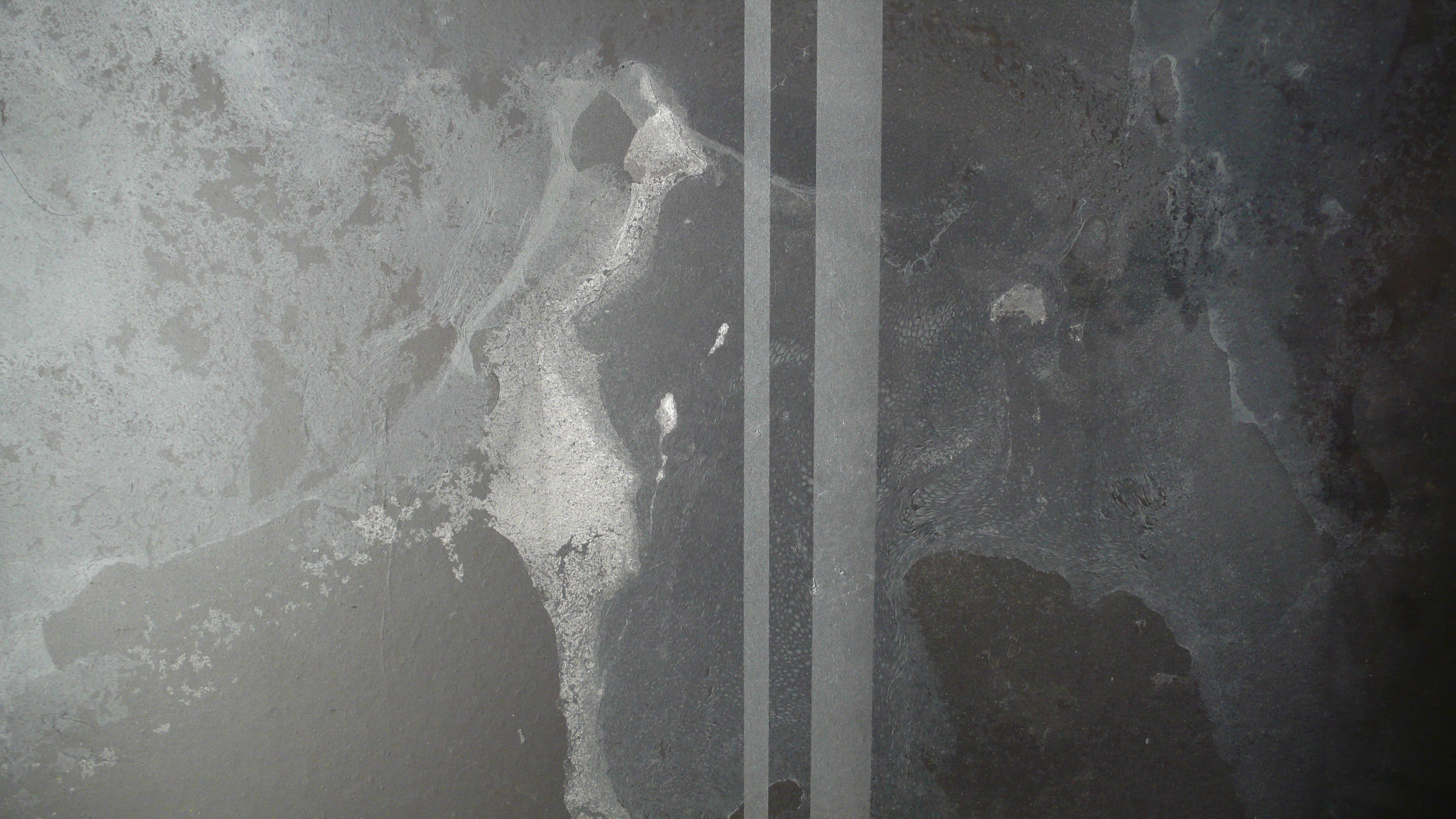 El pintor Francisco Martín Villarrubia mostra la seva obra recent al Palau Ducal