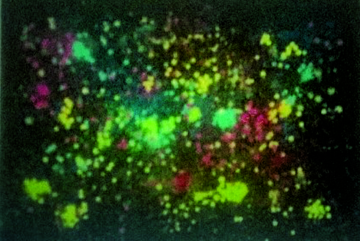 El pintor Chiby exposa \