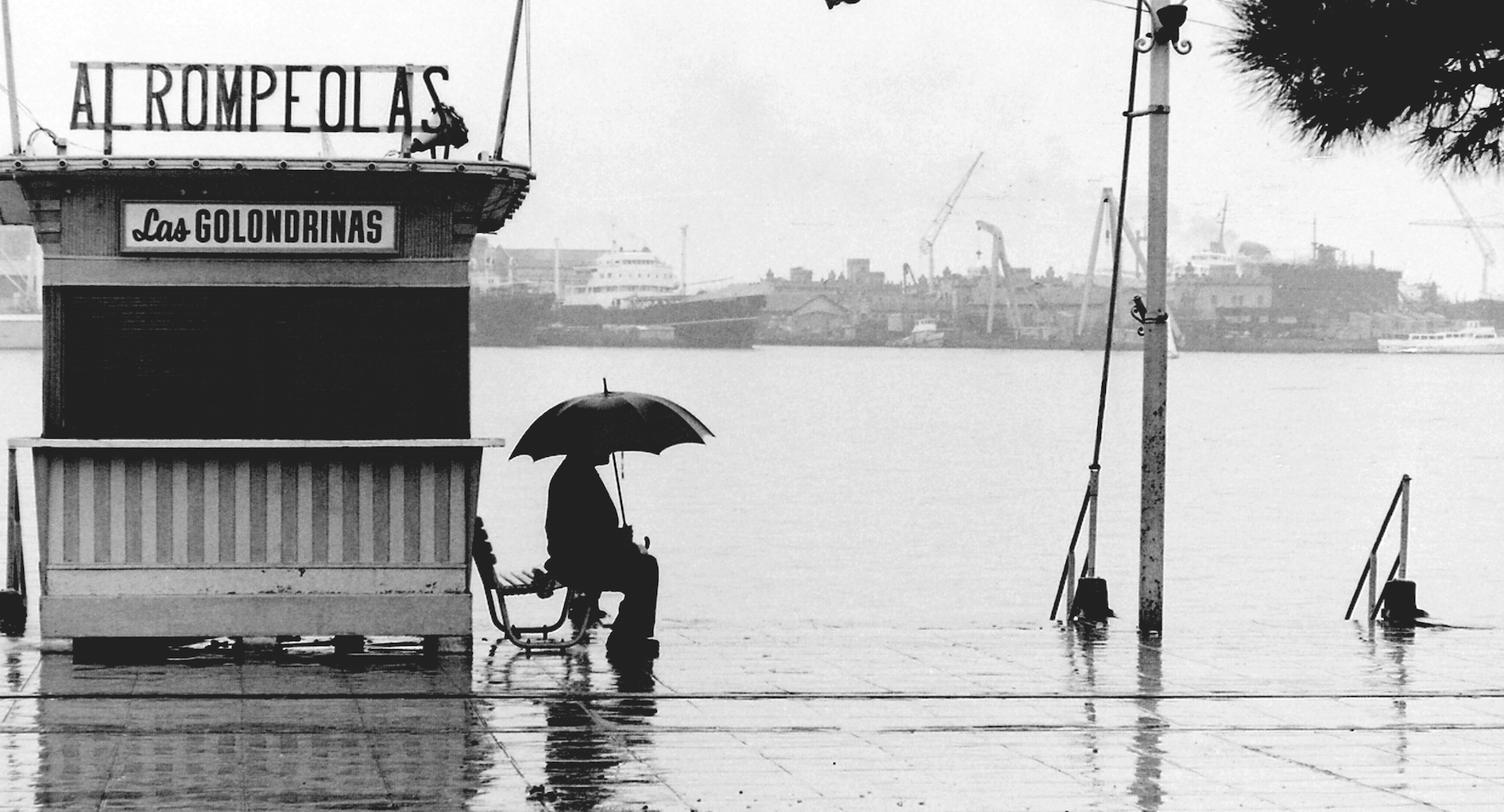 Programa d\'exposicions d\'estiu de la Fundació Vila Casas