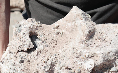 Publicacions MACBA guardonades el 2015