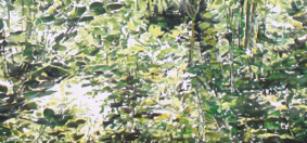 Ramon Surinyac exposa al Palau de Casavells