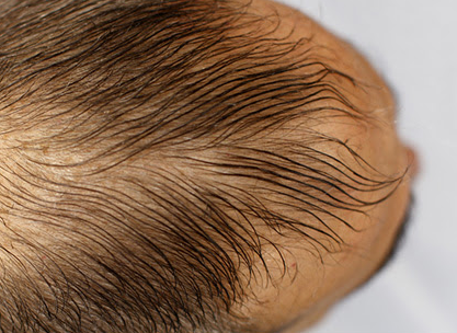 Javier Codesal exposa \