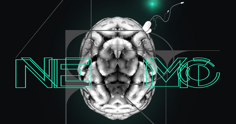 Cinquena edició del Nemo Art Festival