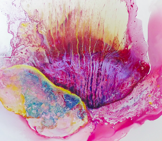 Leonor Berlanga presenta els seus darrers treballs a l\'espai Sexta Expresión