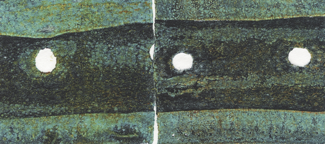 Exposició dels guanyadors del Mini Print Internacional 2015