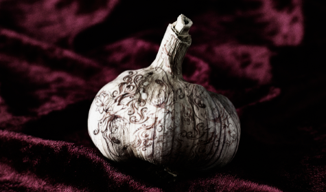 Nando Esteva, Prix d\'Or de la Photographie Paris Px3