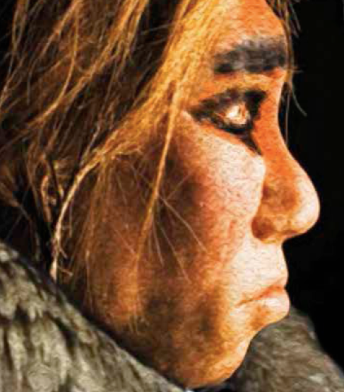 L\'Institut d\'Estudis Ilerdencs presenta la mostra \