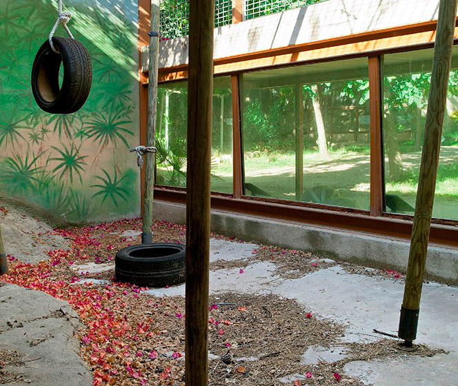 L\'antic zoo de València, tema de l\'exposició de Mira Bernabeu a la Fernando Pradilla