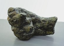 El Museu de Belles Arts inaugura  l\'exposició \