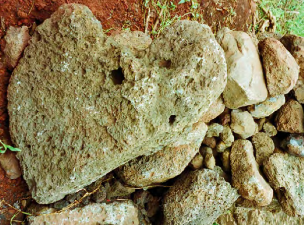 Les fotografies de viatge del valencià Chimo Serrano, a la Fundación ONCE