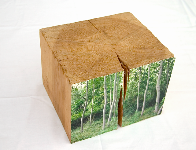 L\'Espai Cruz Bajo presenta \