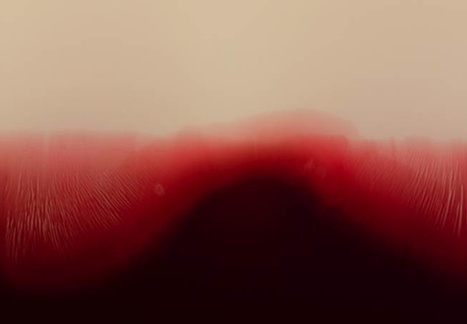 Les línies d\'equilibri plàstic de Gerard Fernández Rico, a la galeria Joan Planellas