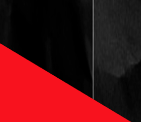 El Catart Group a la sala d\'exposicions