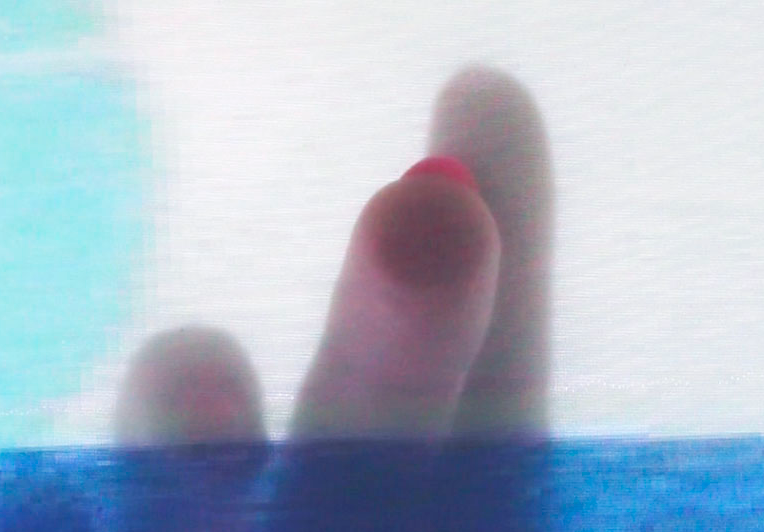 La galeria Sardinuka participa al Festival Loop amb un projecte de M. Victoria Taylor