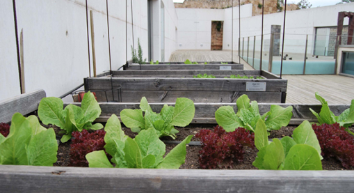 Dia Internacional dels Museus a Es Baluard