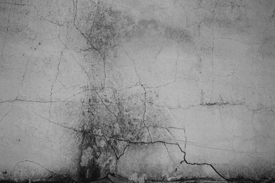 Alumnes de l\'escola Massana, dirigits per Tom Carr, inauguren l\'exposició \