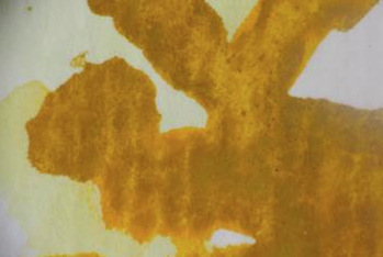 Míriam Artigas a la Galeria d\'Art Ismes