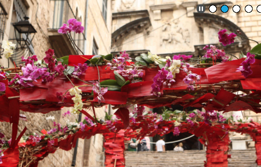 CaixaForum Girona a Girona, Temps de Flors 2015