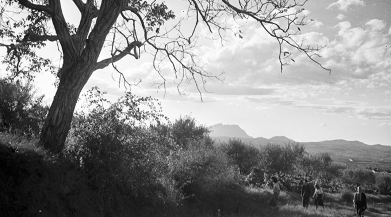 FesCamp15 reflexiona sobre l’art, la comunitat i el medi ambient?