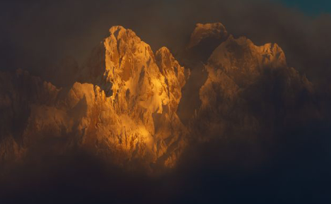 19è Concurs Internacional de Fotografia de Natura MontPhoto