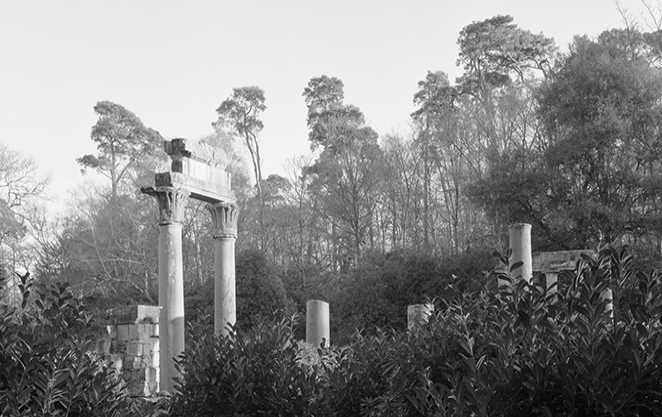 Xavier Ribas a ProjecteSD