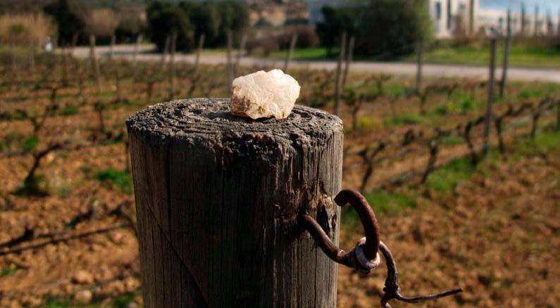El Celler Espelt acull un taller de Land Art