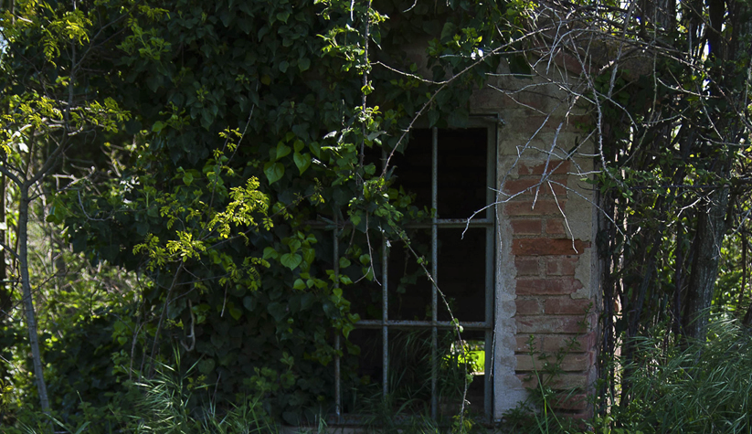 La Diputació i Les Bernardes repeteixen col·laboració amb una nova mostra