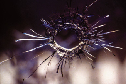 Ca l\'Anita acull la mostra \