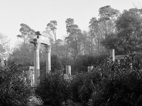 Xavier Ribas a ProjecteSD