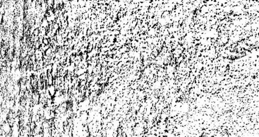 Juan Carlos Bracho i Pieter Vermeersch a la galeria Pilar Serra