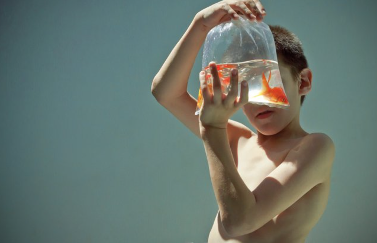 La Fàbrica publica el treball del fotògraf Roberto M. Tondopó