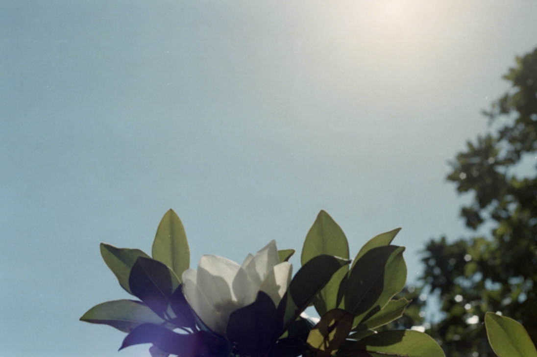 El Bòlit inaugura \