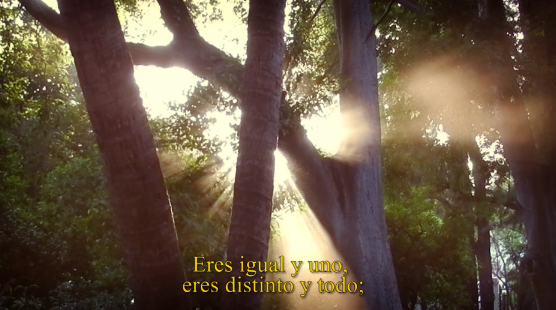 La Fundació Valentín de Madariaga inaugura \