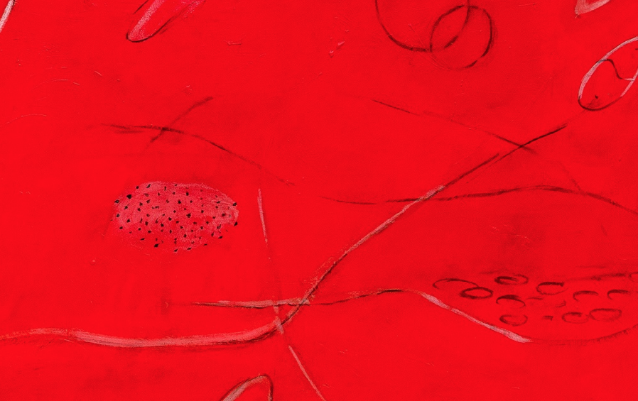 Waltraud Maczassek presenta \