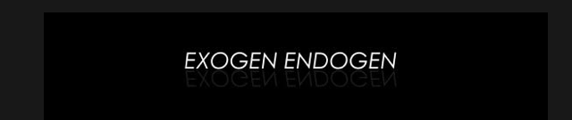 LafuturA Espai inaugura Exogen Endogen