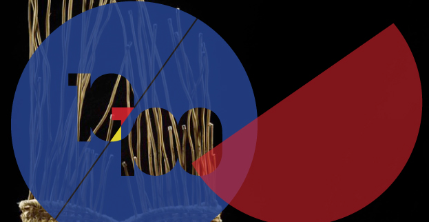 Els guanyadors de la convocatòria \