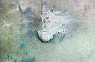 Pilar Giambanco exposa a la sala del Club Nàutic