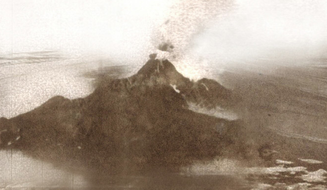 Col·lectiva a Hostel Art organitzada per PAC