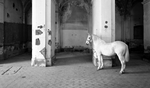 Bernadó, Chirino, Clar, Halley, Hortal, León, Xingjian, Jaramillo i Zorrilla amb la Senda a Arcomadrid 2015