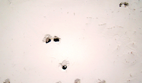 Gonzalo Elvira presenta \