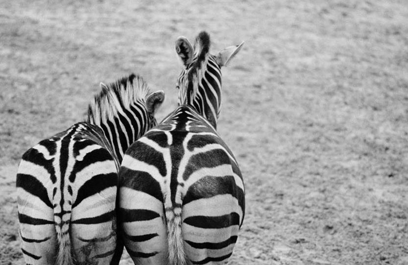 Lola Montserrat presenta \