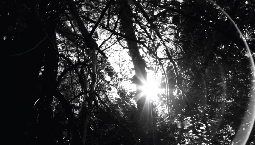 Col·lectiva a la Galeria Astarté