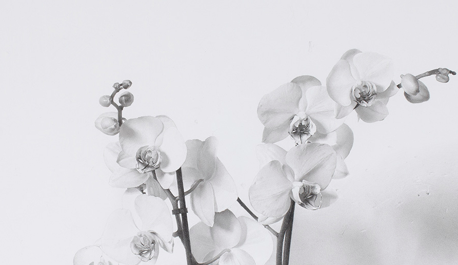 Artur Ramon Art presenta les darrers creacions dels germans Santilari