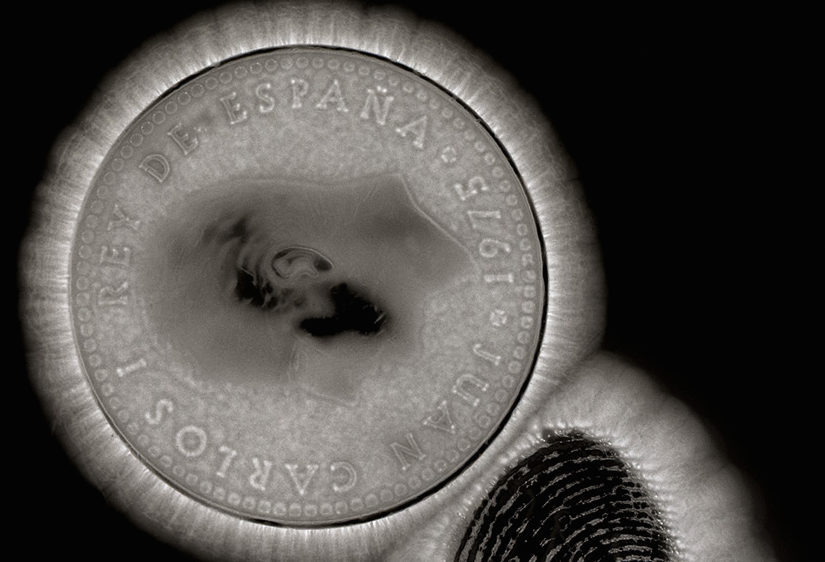 Es Baluard inaugura “Implosió (cel·lular). Carte Blanche a Agustín Fernández Mallo”