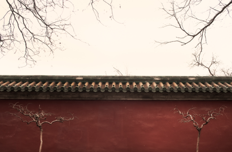 L\'alacantina Laura Medrano exposa \