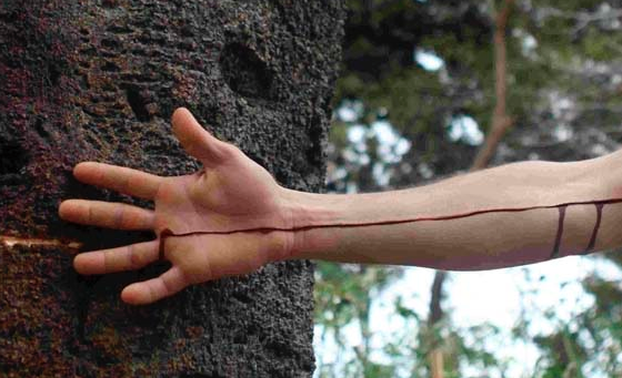 “Reflecta” a Es Baluard