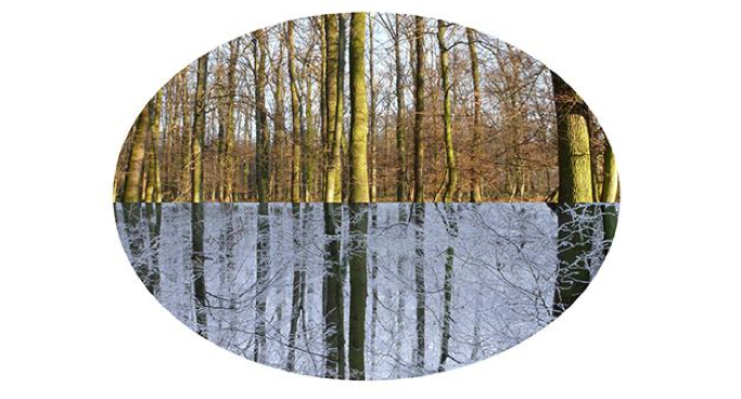 Matadero Madrid presenta \